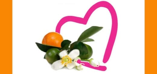 Citrus fruits and a flower arrangement with a pink heart outline