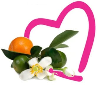 A pink heart behind a small pile of citrus fruits, leaves, and a white flower.