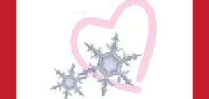 Two snowflakes overlap in front of a pink heart outline.