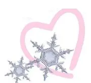 Two snowflakes in front of a pink heart outline
