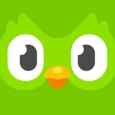 Duolingo app logo