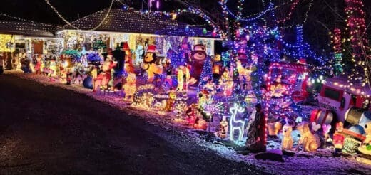 A house is decorated with numerous Christmas lights and inflatable figures.