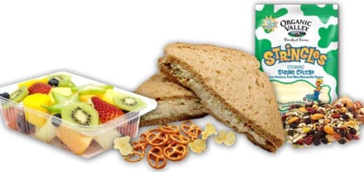 Sandwich, fruit salad, pretzels, trail mix, and string cheese for a healthy meal.