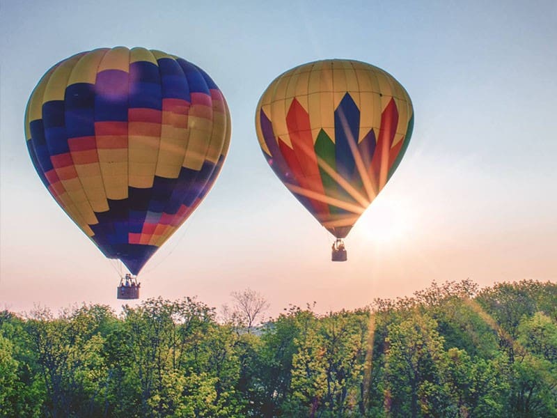 Two hot air balloons float above a treeline at sunrise
