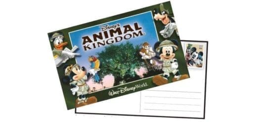 Postcard featuring Disney characters in Animal Kingdom.