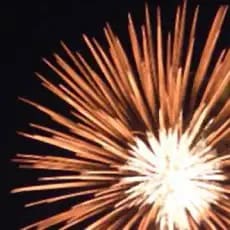 Exploding orange fireworks against a black sky.